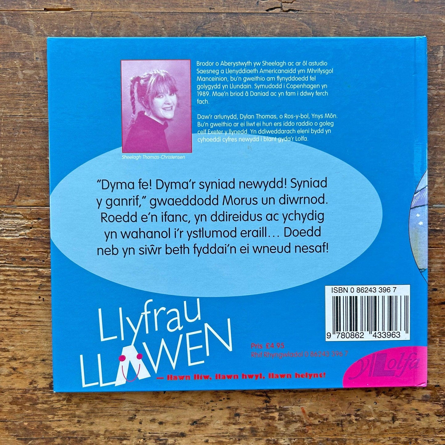 Morus yr Ystlum - Morus the Bat (Preloved)