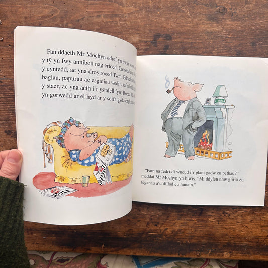 Mrs Mochyn Yn Colli'i Thymer - Mary Rayner - 1996 (Preloved)