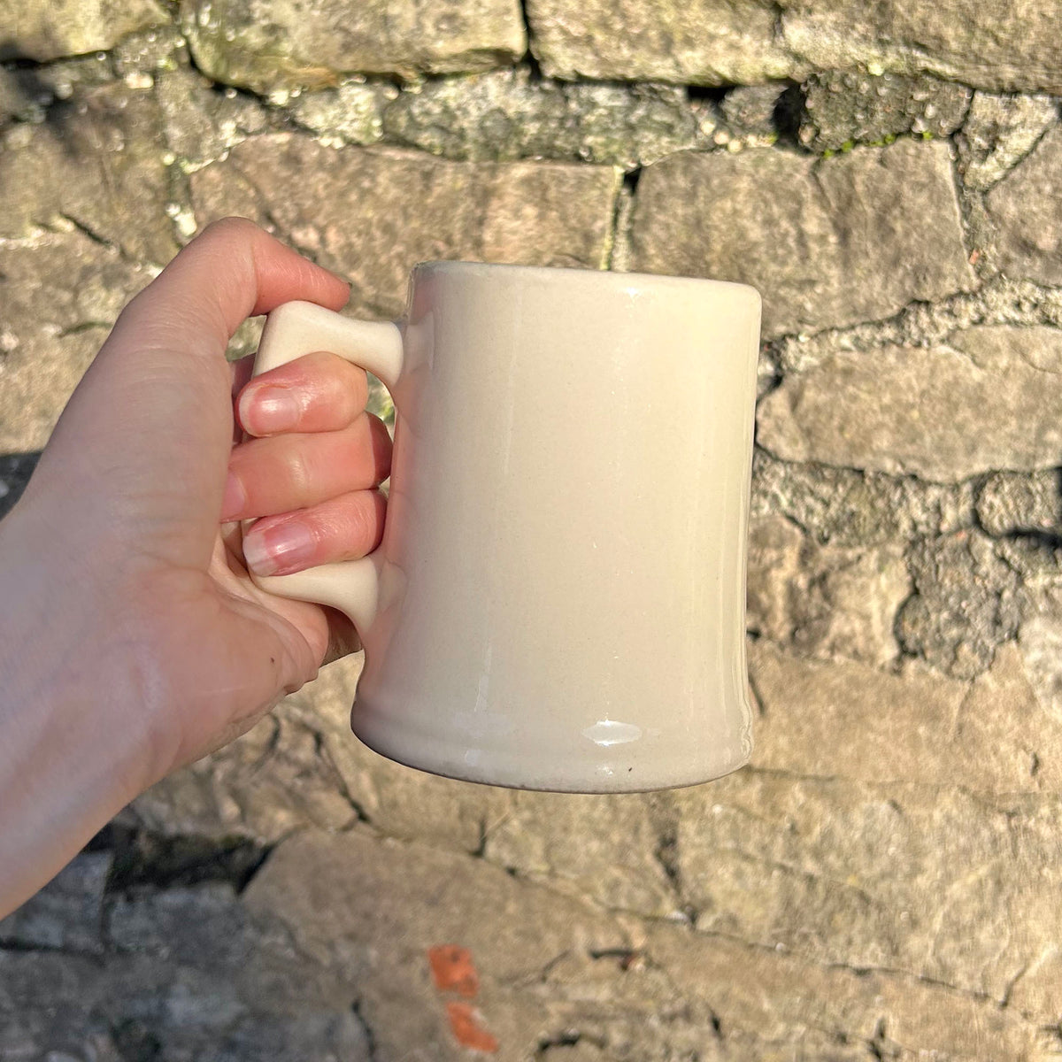 Mwg - Undeb Rygbi Cymru - Blwyddyn y Canmlwyddiant 1980-81 (Wedi'i ail-law)