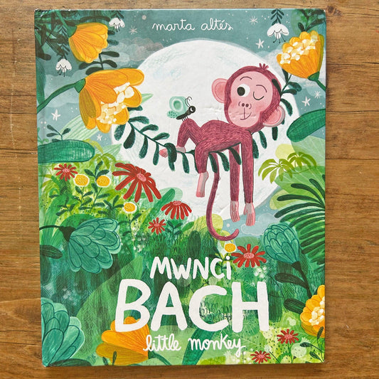 Mwnci Bach / Little Monkey (Preloved)