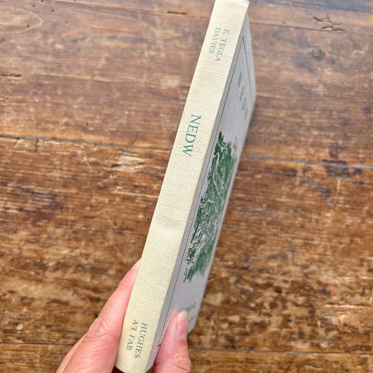 Nedw - E. Tegla Davies (Preloved)