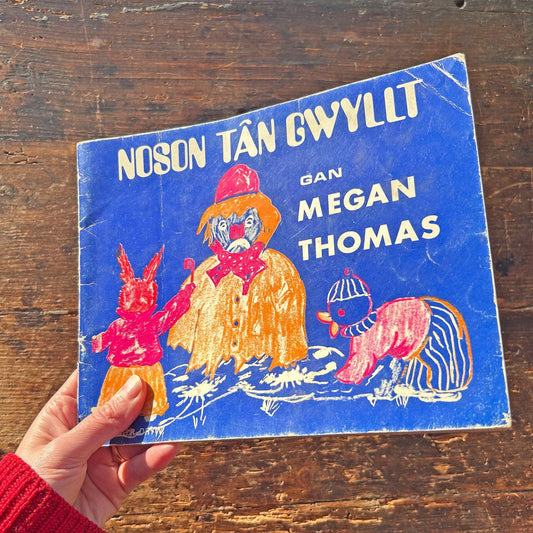 Noson Tân Gwyllt - Megan Thomas - Vintage Welsh Book 1970 (Preloved)