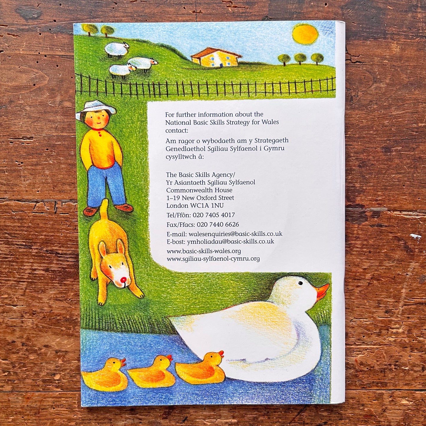 Numbers, Songs and Rhymes / Rhifau Caneuon a Rhigymau + CD (Preloved / Like New)