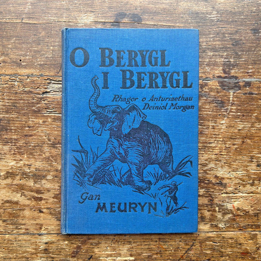 O Berygl I Berygl - Anturiaethau Deiniol Morgan - Gan Meuryn (Preloved)