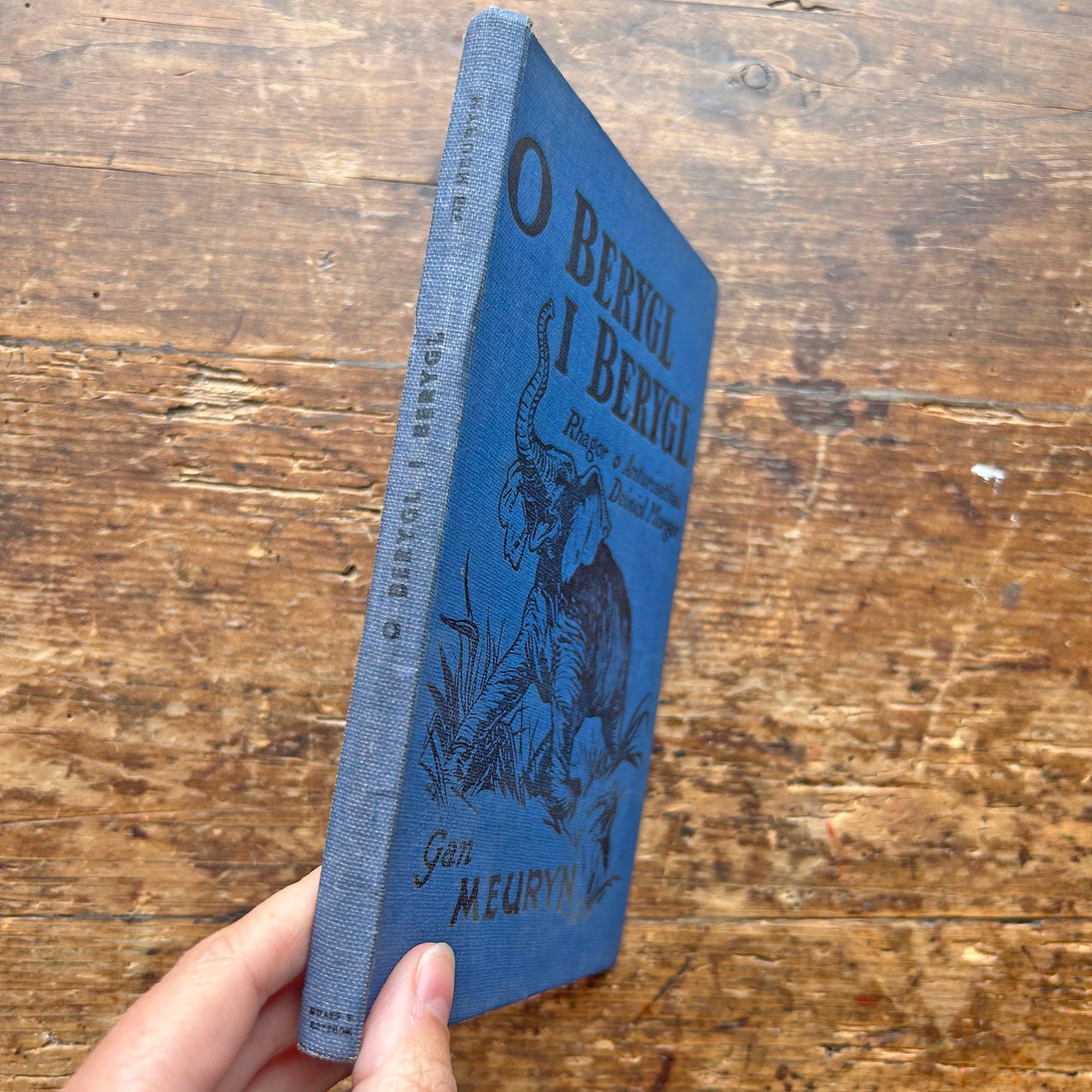 O Berygl I Berygl - Anturiaethau Deiniol Morgan - Gan Meuryn (Preloved)