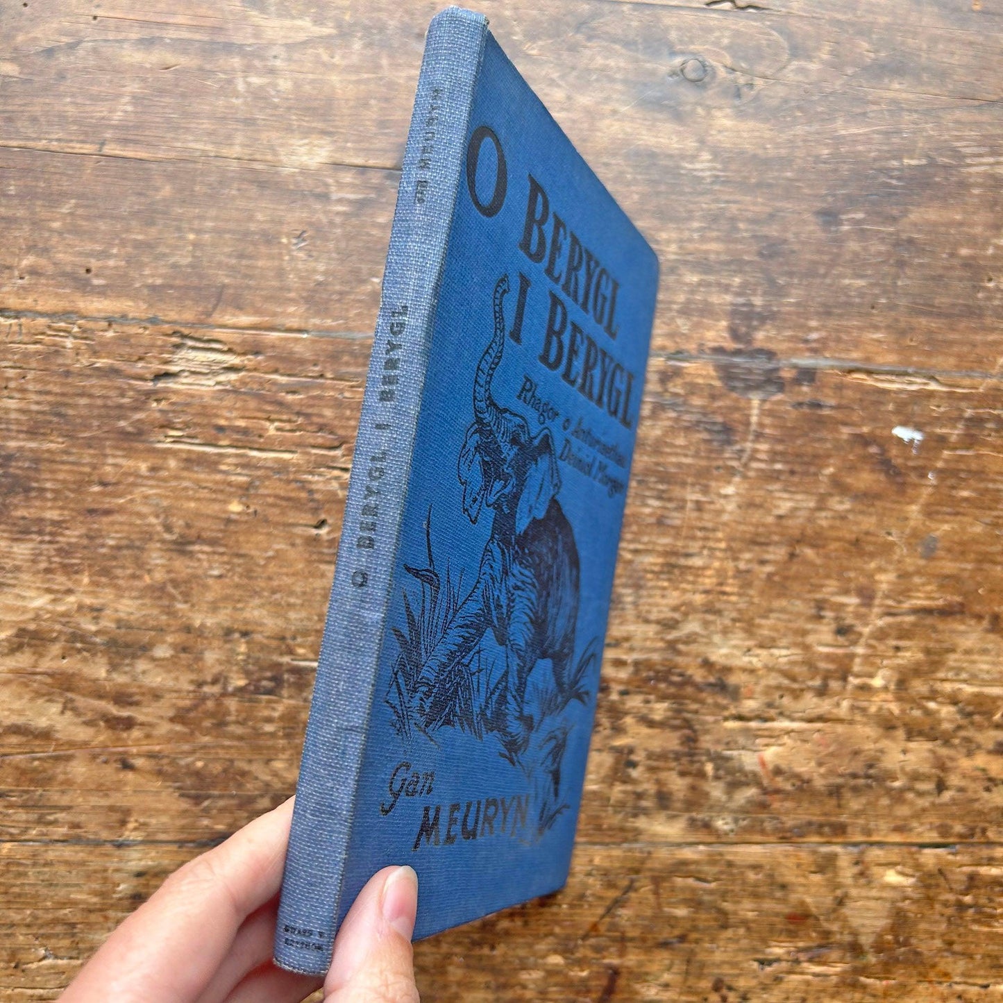 O Berygl I Berygl - Anturiaethau Deiniol Morgan - Gan Meuryn (Preloved)