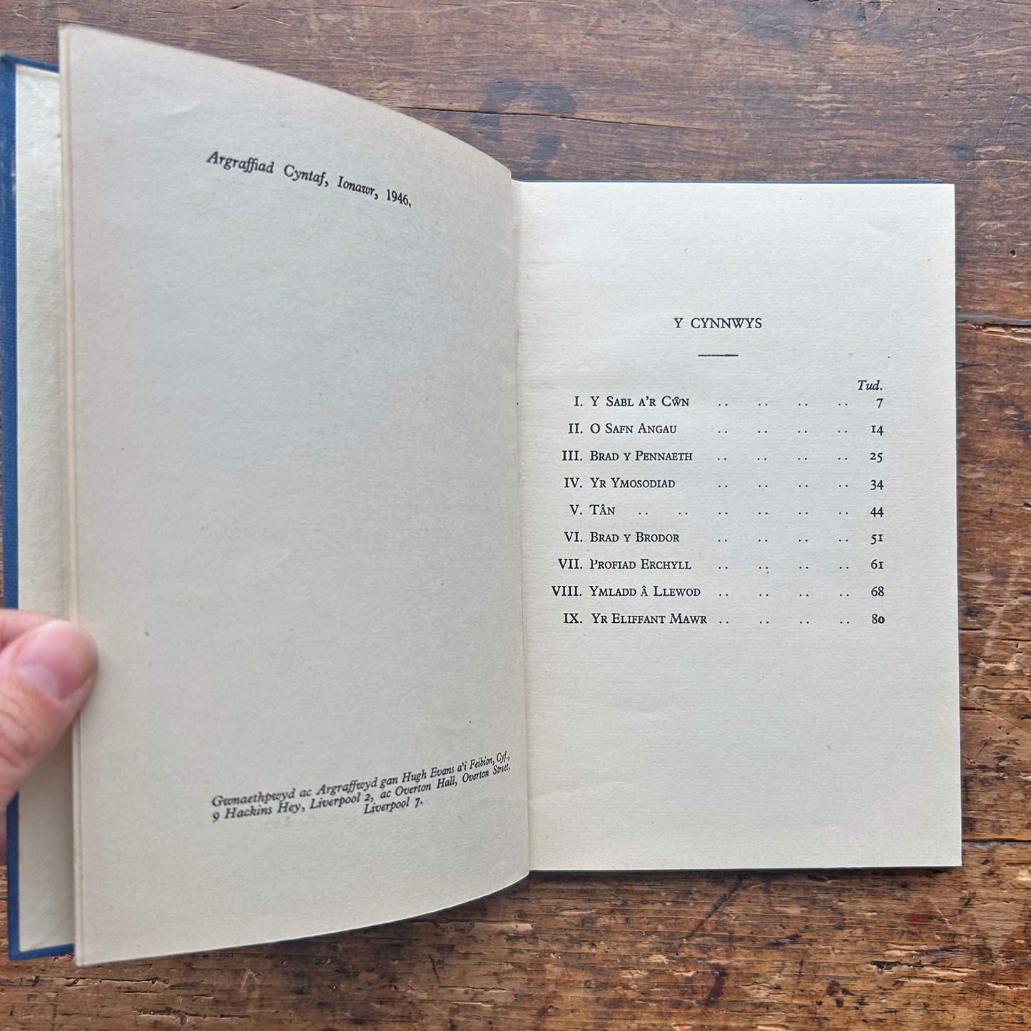 O Berygl I Berygl - Anturiaethau Deiniol Morgan - Gan Meuryn (Preloved)