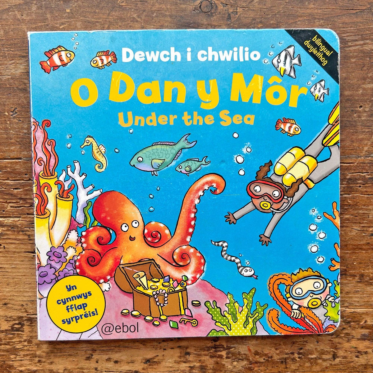O Dan y Mor - Under the Sea (Preloved)