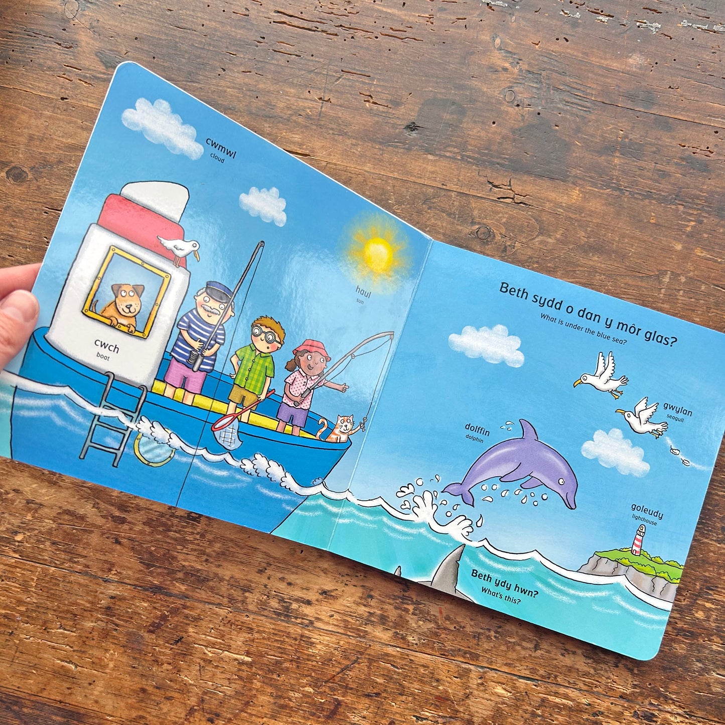 O Dan y Mor - Under the Sea (Preloved)