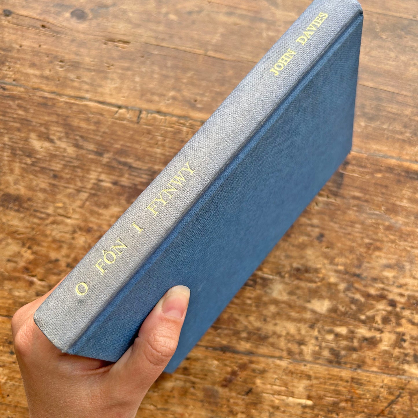 O Fôn i Fynwy - Prose & Poetry - John Davies (Preloved)