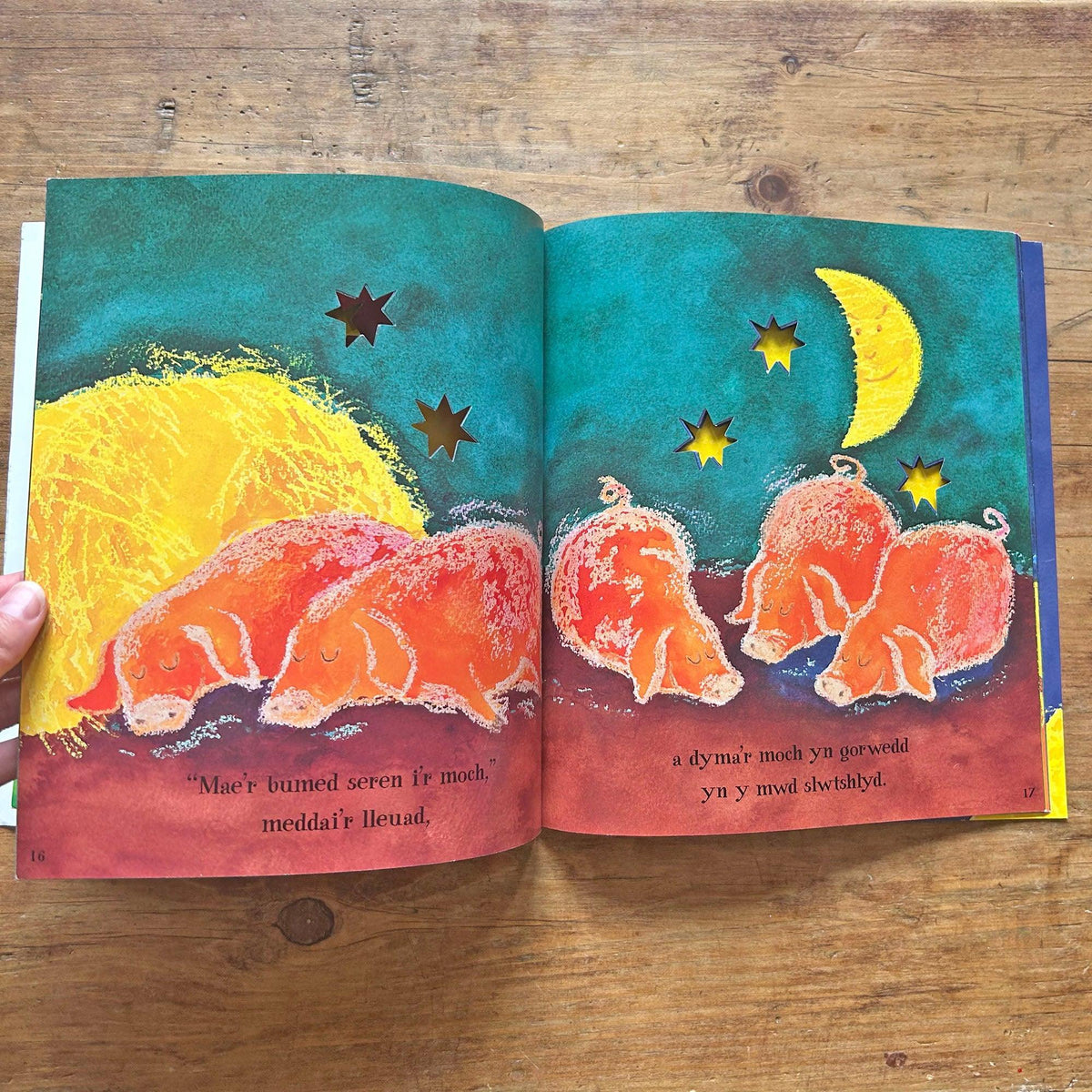 Pan Wenodd y Lleuad / When the Moon Smiled (Preloved)