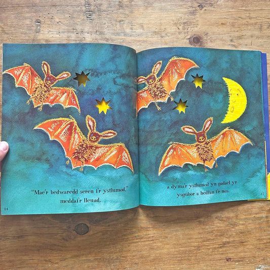 Pan Wenodd y Lleuad / When the Moon Smiled (Preloved)