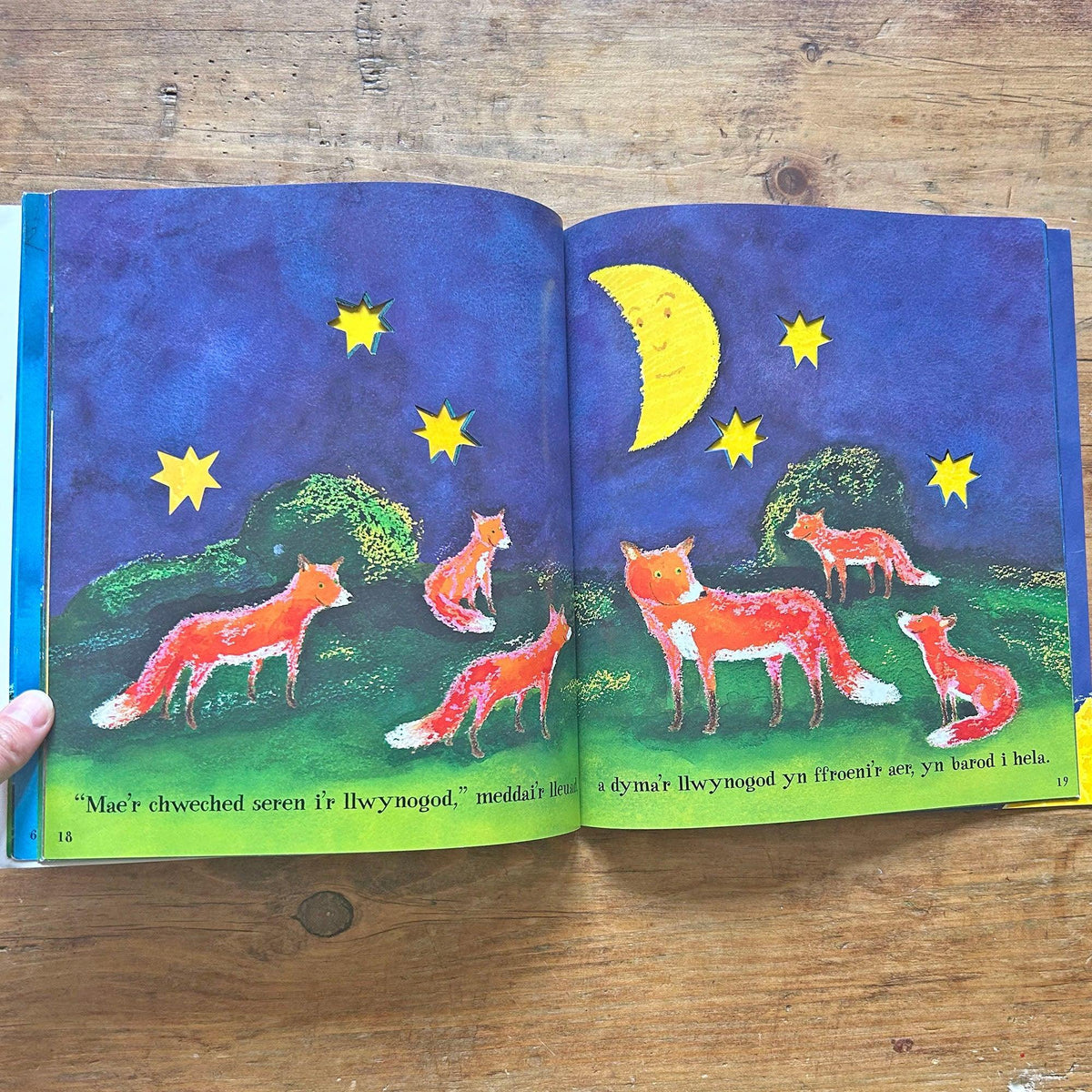 Pan Wenodd y Lleuad / When the Moon Smiled (Preloved)
