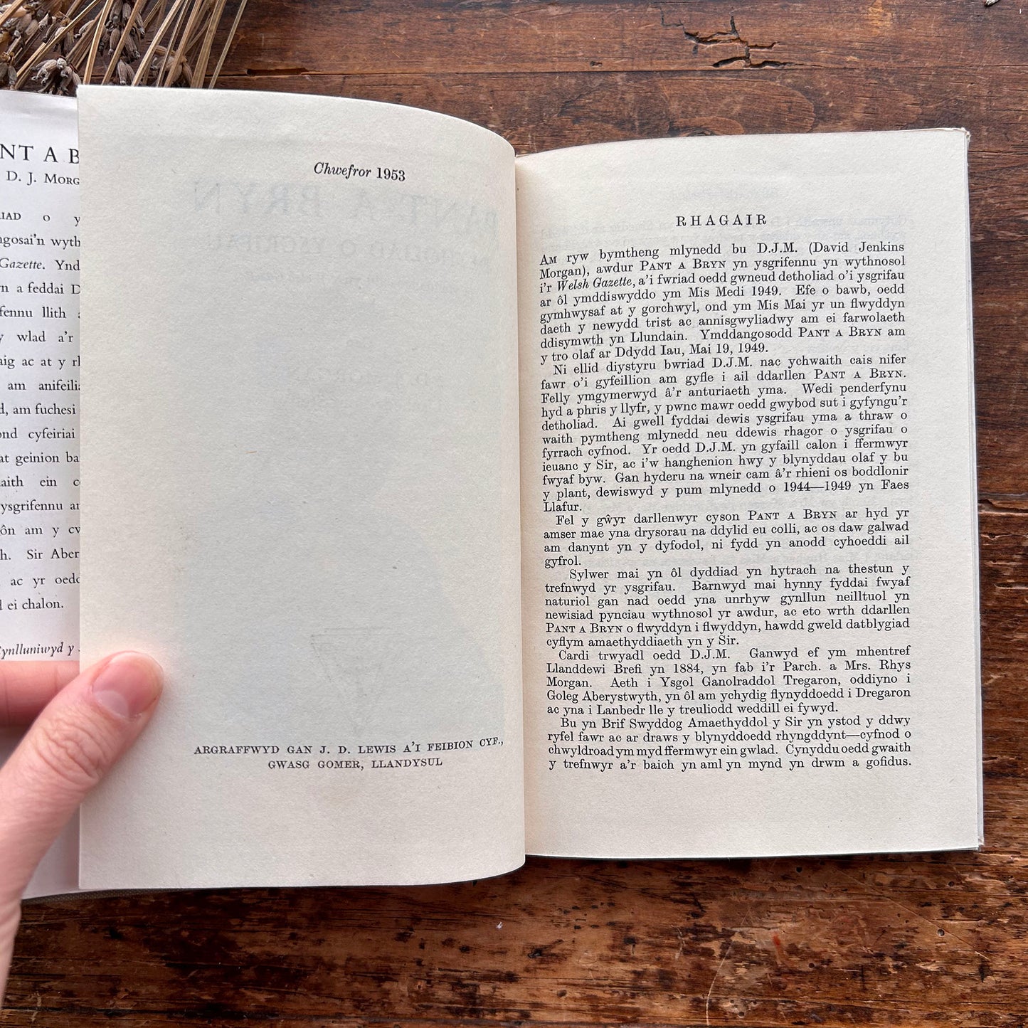 Pant a Bryn - D J Morgan - 1953 (Preloved)