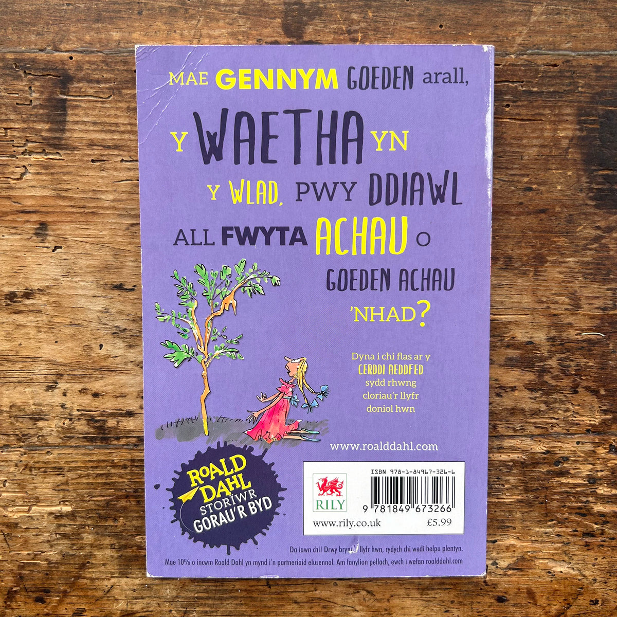 Pastai Odl / Rhyme Stew - Roald Dahl (Preloved)