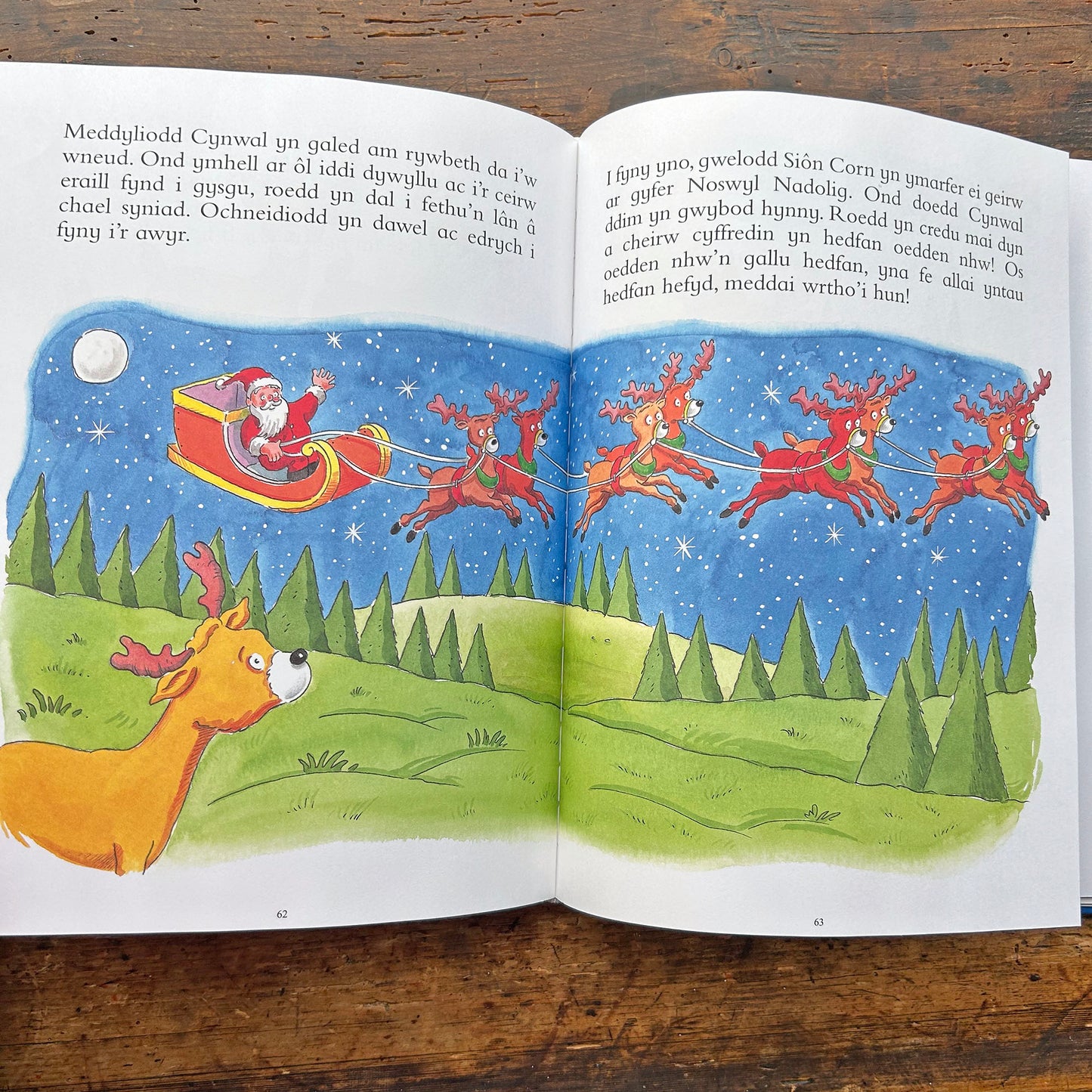 Pedair stori Nadolig / Four Christmas Stories (Preloved)