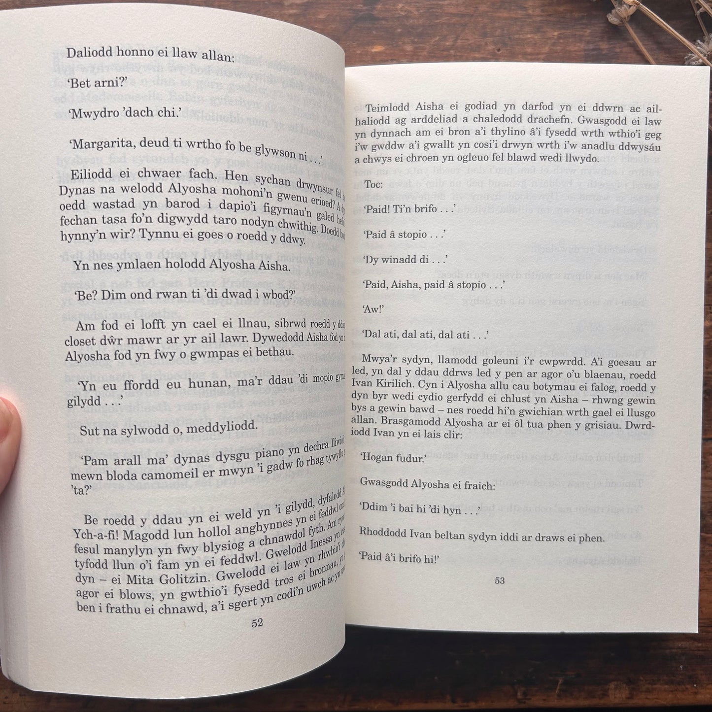 Nedw - E. Tegla Davies - Byrddau Glas - 1922 (Wedi'i ail-law)