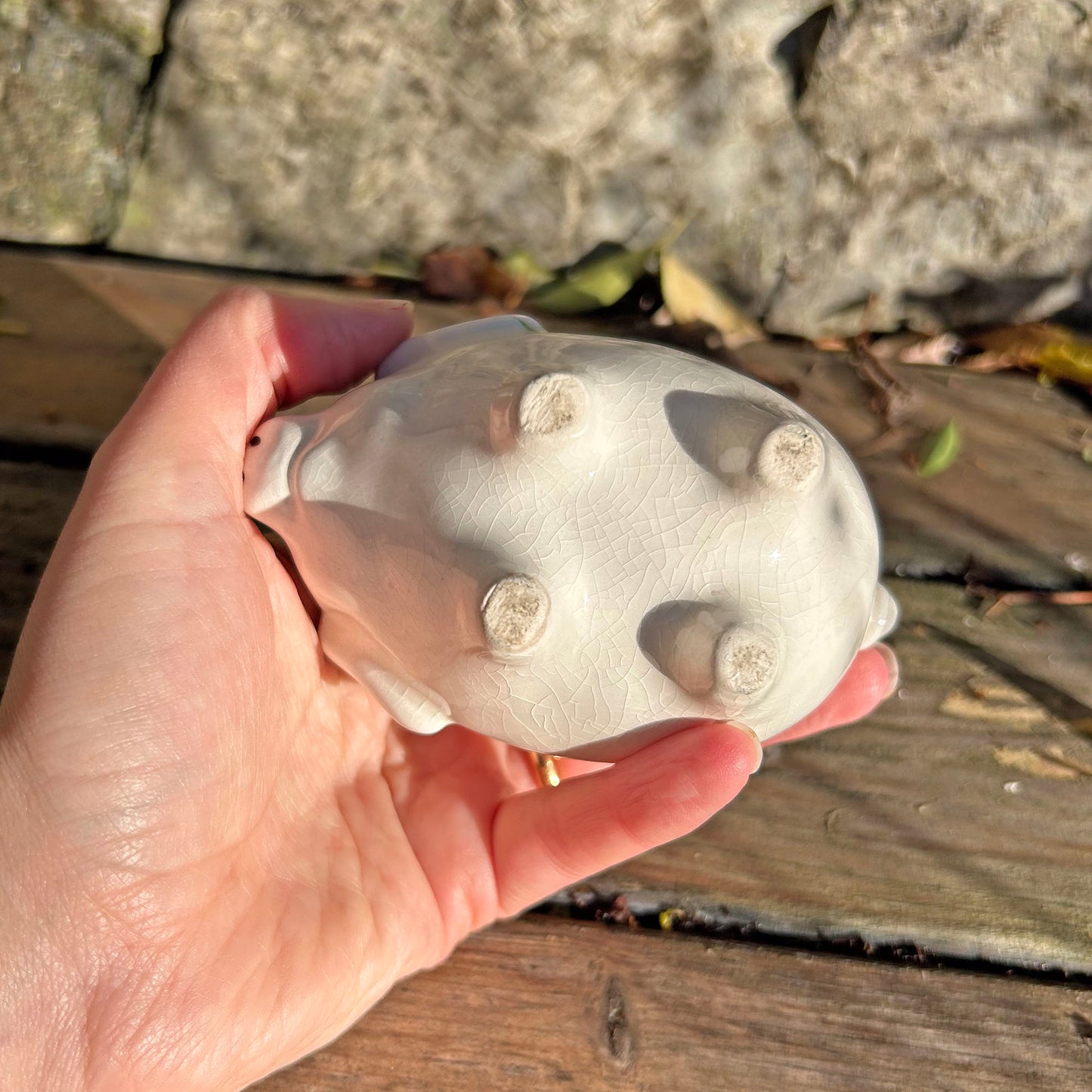 Piggy Bank - Welsh Ladies - Souvenir of Wales - Antique (Preloved)