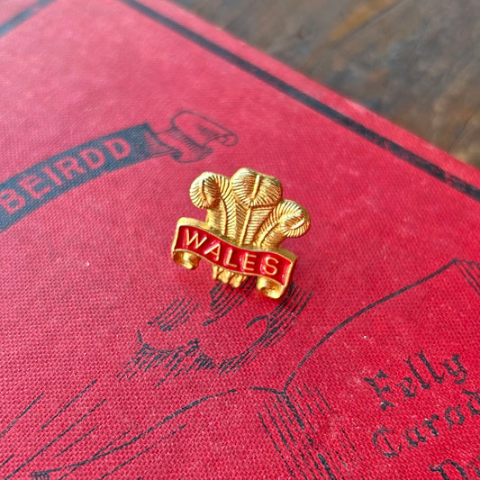Pin Lapel / Bathodyn - Vintage - Fleur de Lis - Cymru (Preloved)