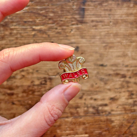 Lapel Pin / Badge - Vintage - Fleur de Lis - Wales (Preloved)