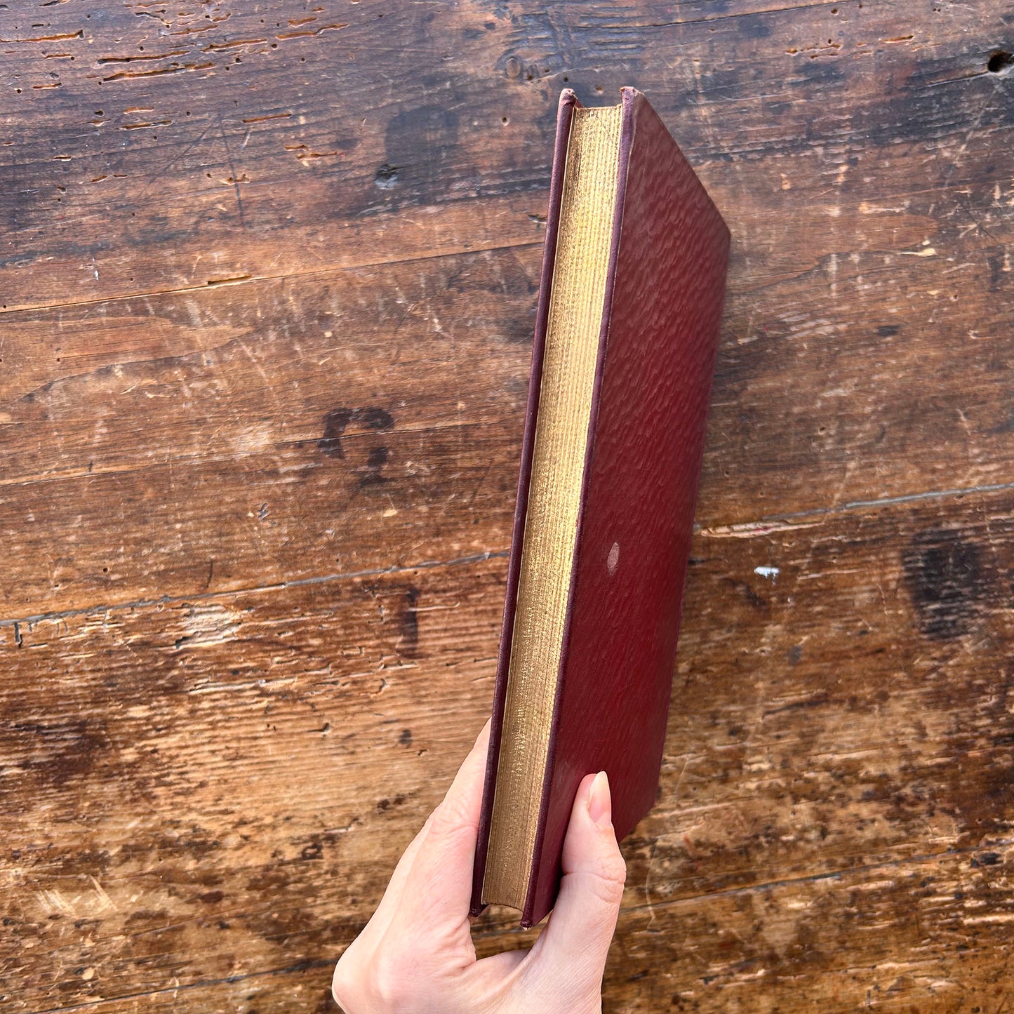 Plant y Gorthrwm - Gwyneth Vaughan - 1908 1st edition (Preloved)