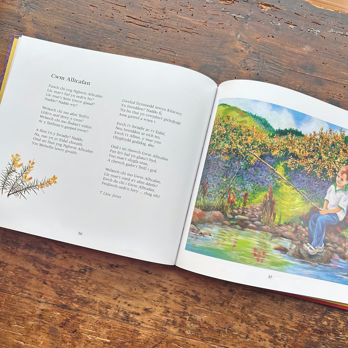 Plentyn - Vintage Welsh Treasury - Mererid Hopwood (Preloved)