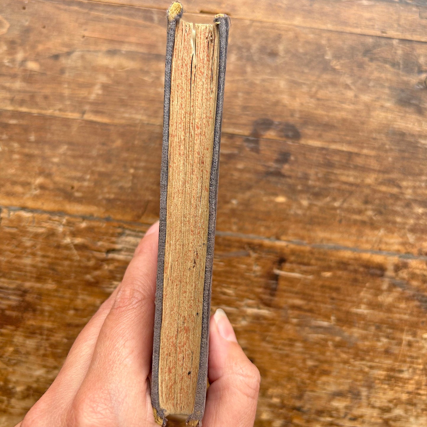 Pocket Dictionary / Geiriadur Llogell - Richards Welsh & English - Antique (Preloved)