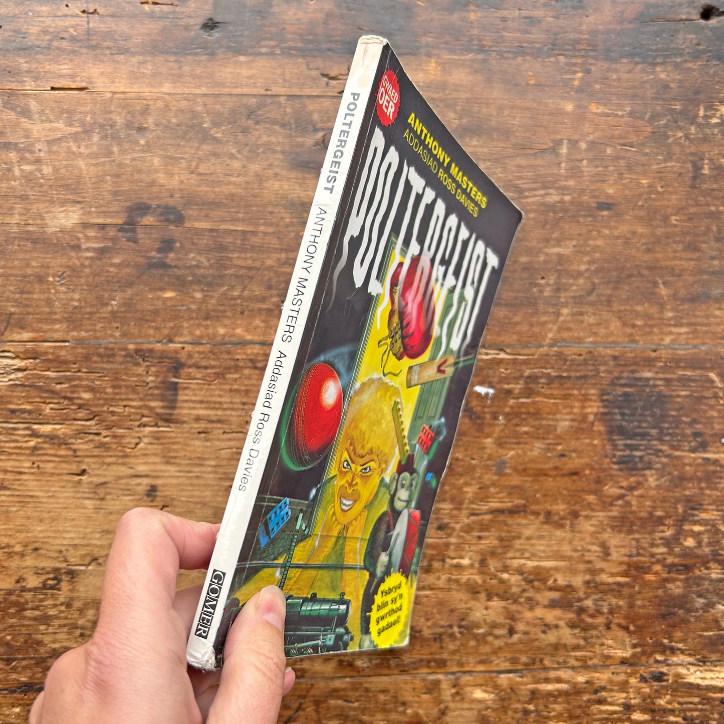 Poltergeist - Cyfres Gwaed Oer - Anthony Masters (Preloved)