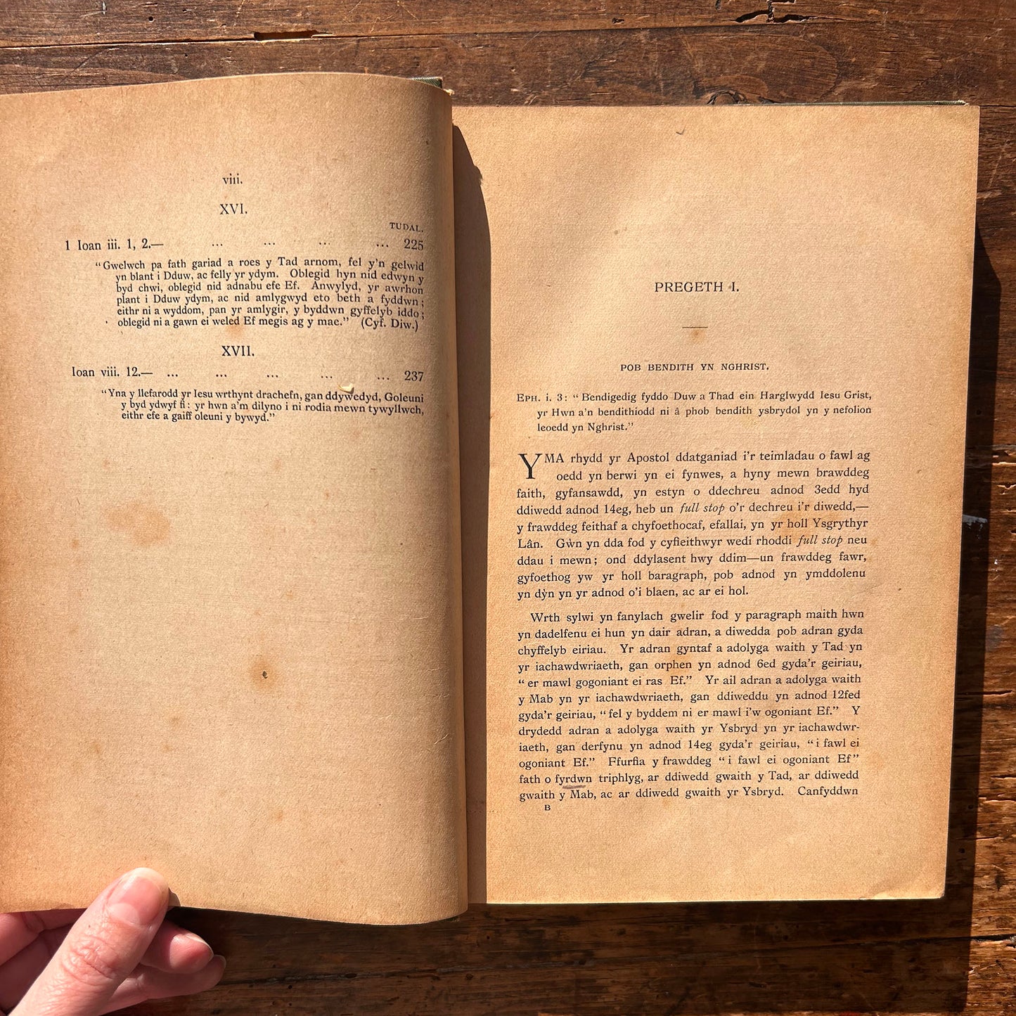 Pregethau - J. Cynddylan Jones - 1901 (Preloved)