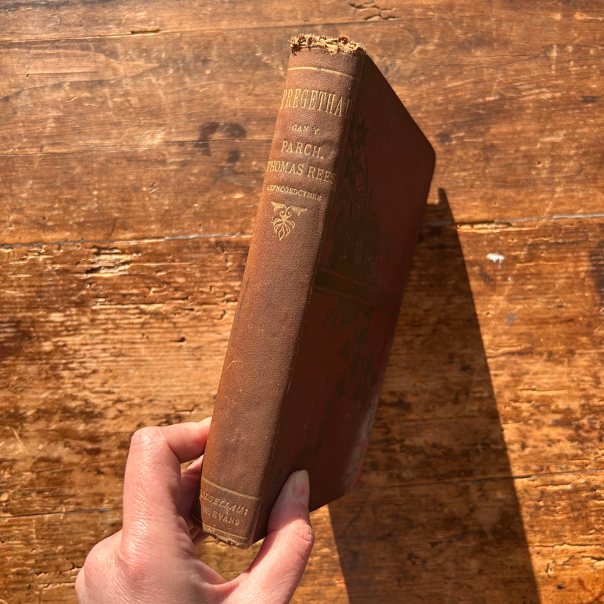 Pregethau - Parch. Thomas Rees - 1888 (Preloved)