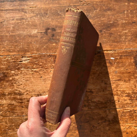 Pregethau - Parch. Thomas Rees - 1888 (Preloved)