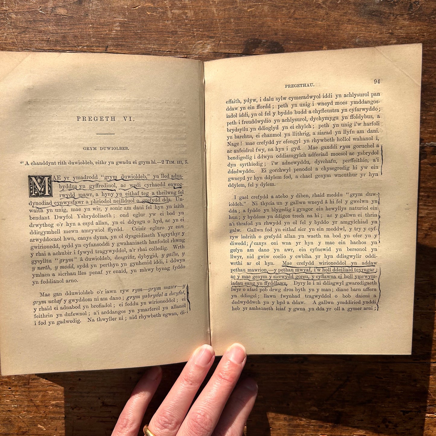 Pregethau - Parch. Thomas Rees - 1888 (Preloved)