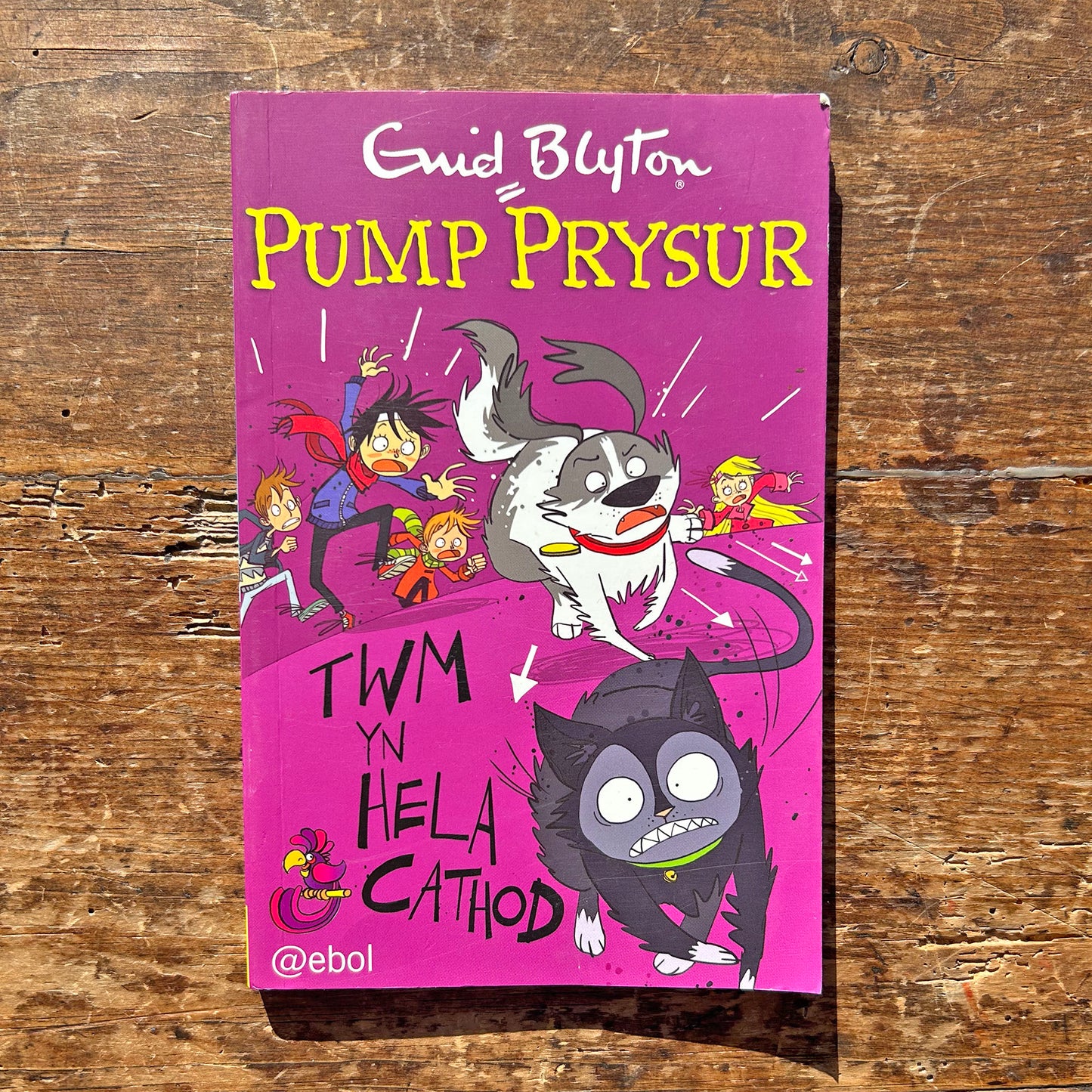 Pump Prysur / Famous Five - Twm Yn Hela Cathod - Enid Blyton (Preloved)
