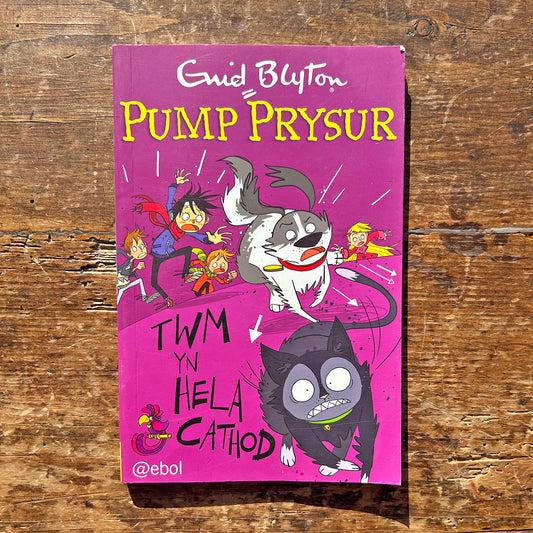 Pwmp Prysur / Famous Five - Twm Yn Hela Cathod - Enid Blyton (Preloved)