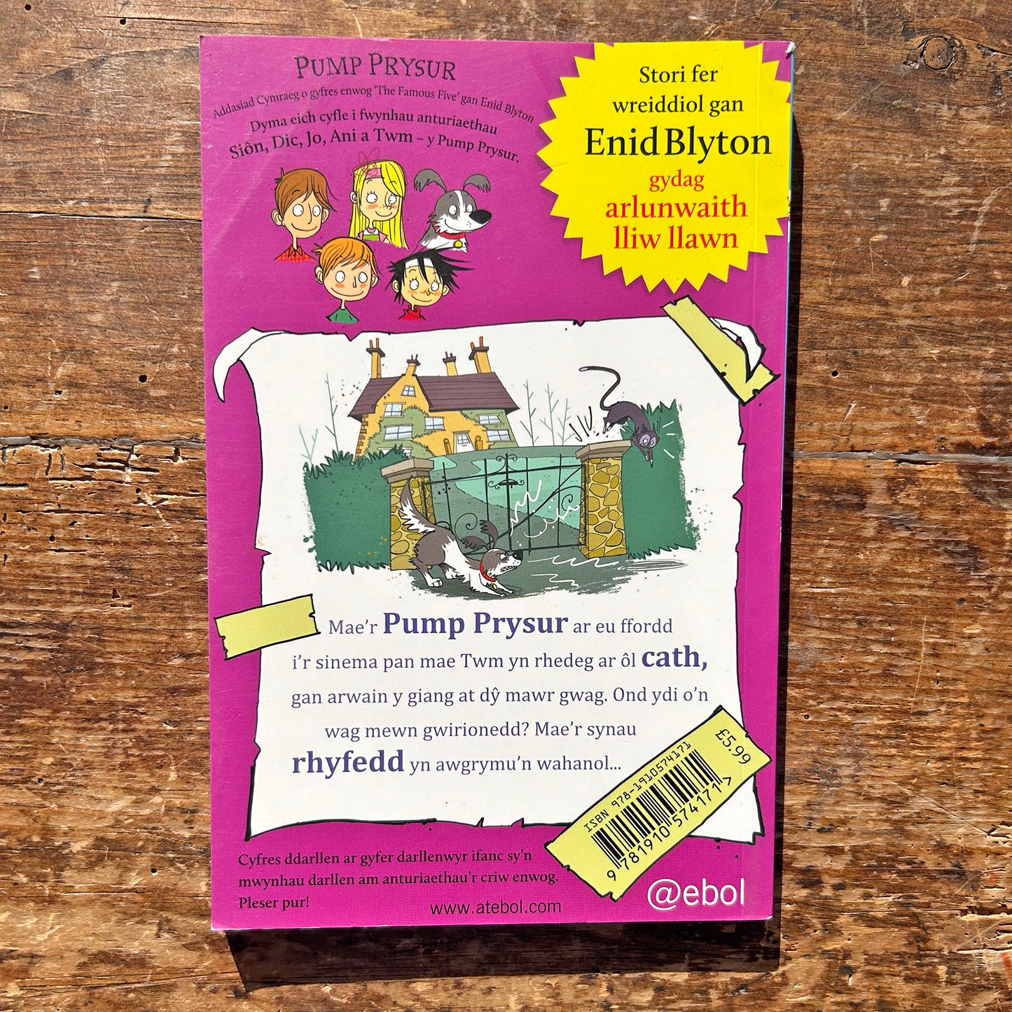 Pump Prysur / Famous Five - Twm Yn Hela Cathod - Enid Blyton (Preloved)