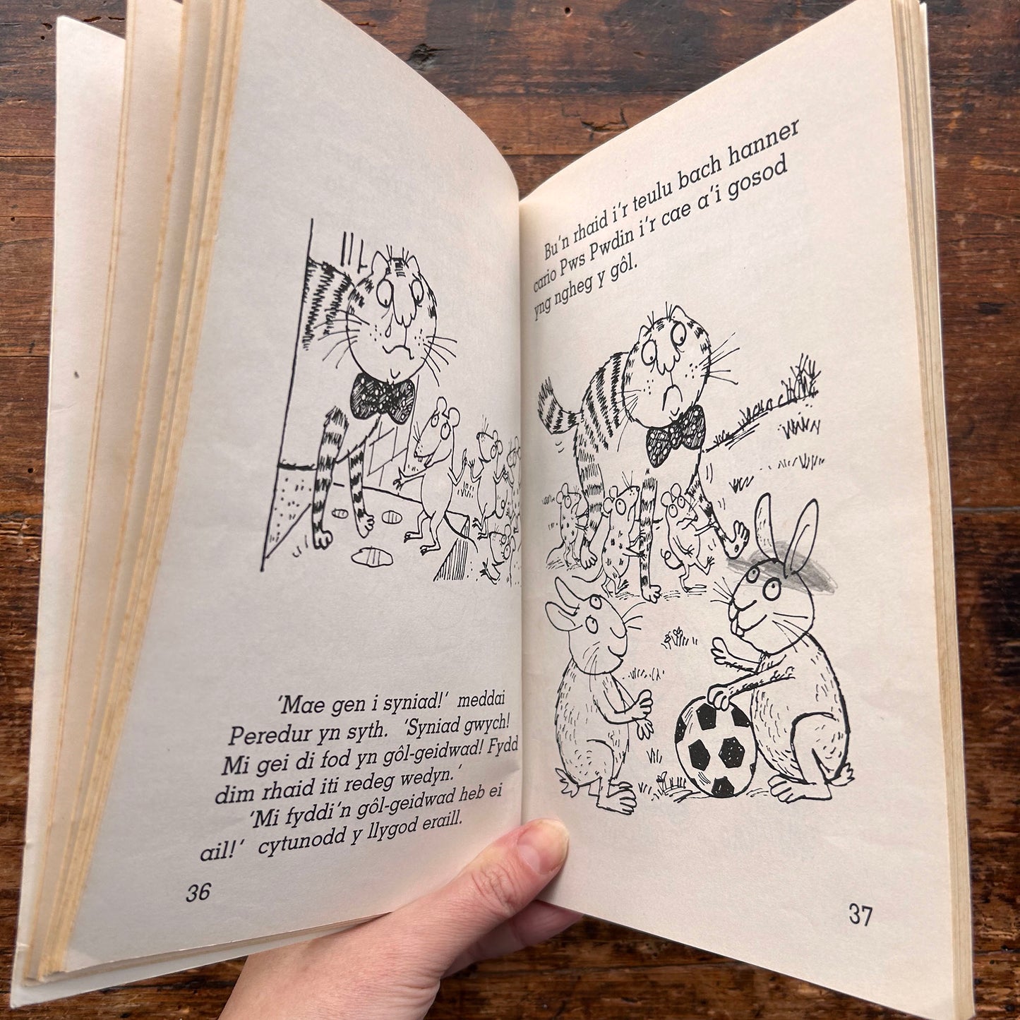 Pws Pwdin yn Cael Hwyl! 1990 (Preloved)