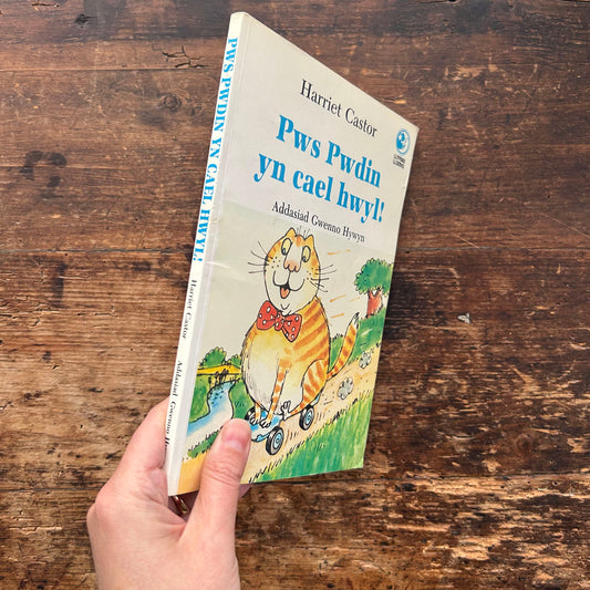 Pws Pwdin yn Cael Hwyl! 1990 (Preloved)