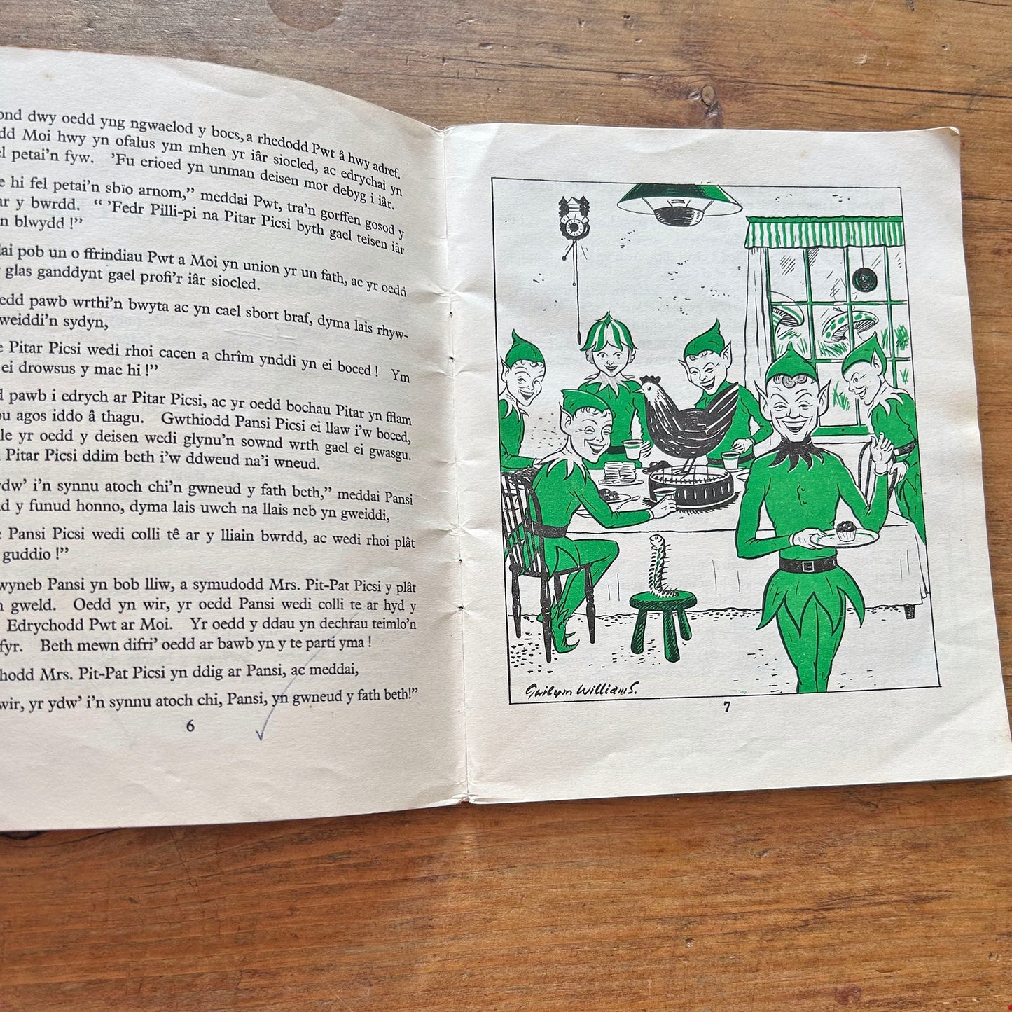 Pwt a Moi - Vintage Welsh Children's Book 1953 (Preloved)