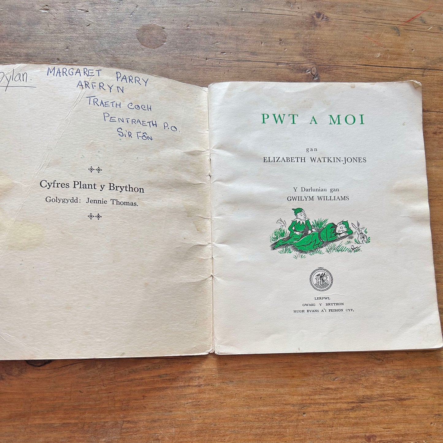 Pwt a Moi - Vintage Welsh Children's Book 1953 (Preloved)