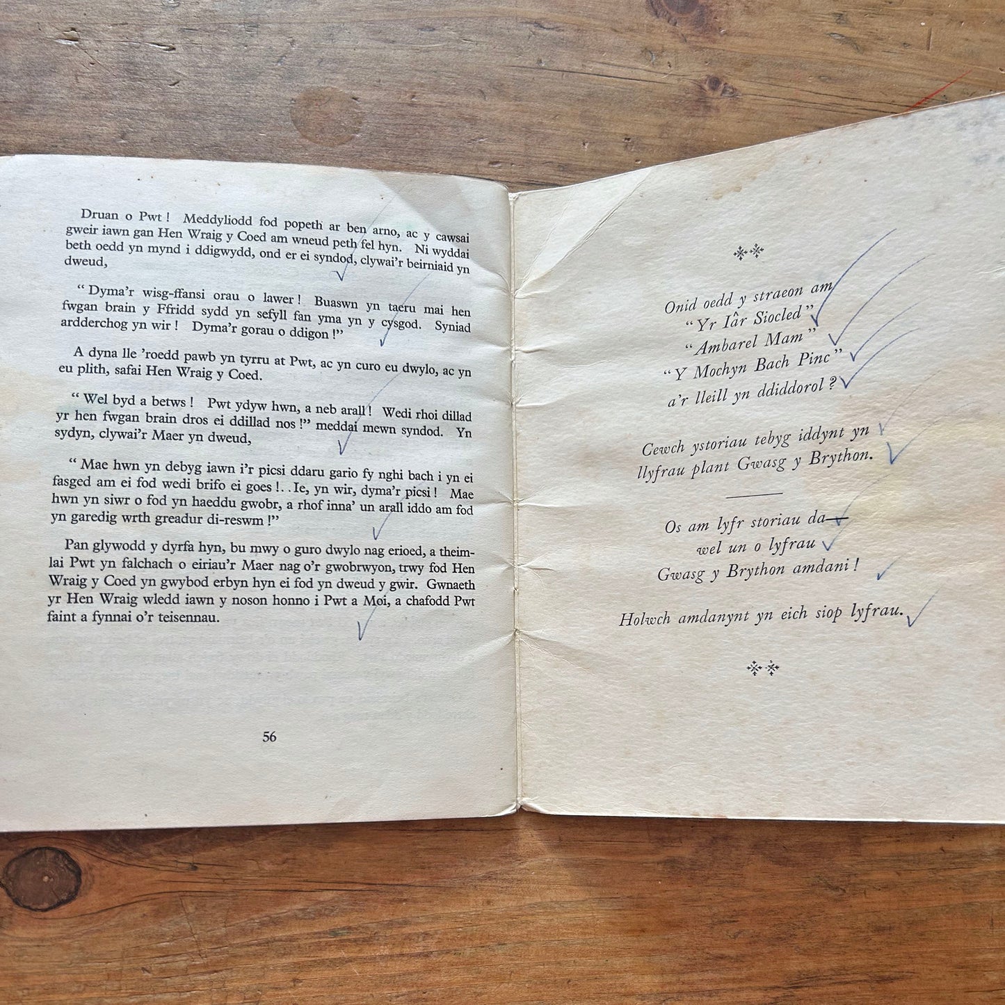 Pwt a Moi - Vintage Welsh Children's Book 1953 (Preloved)