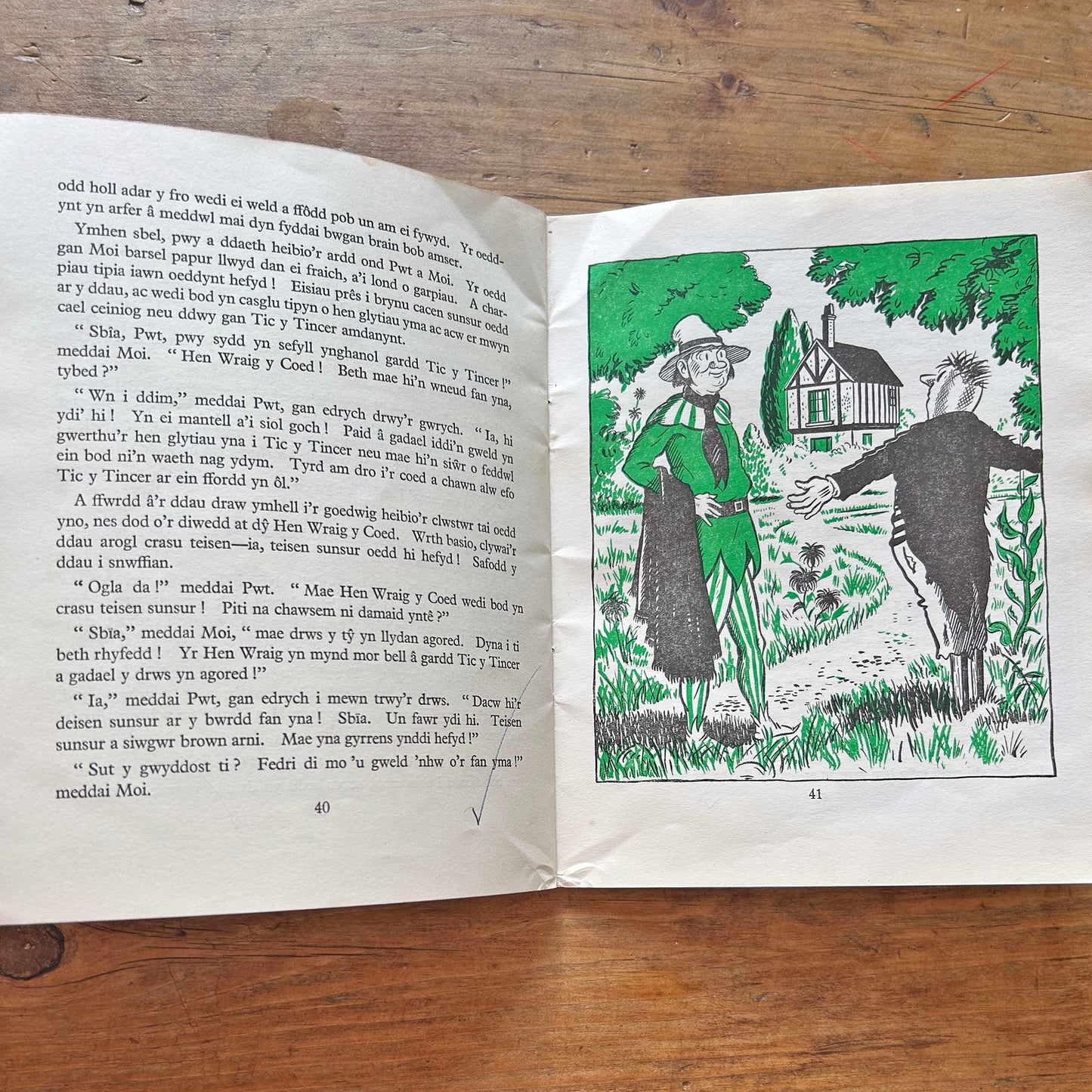 Pwt a Moi - Vintage Welsh Children's Book 1953 (Preloved)