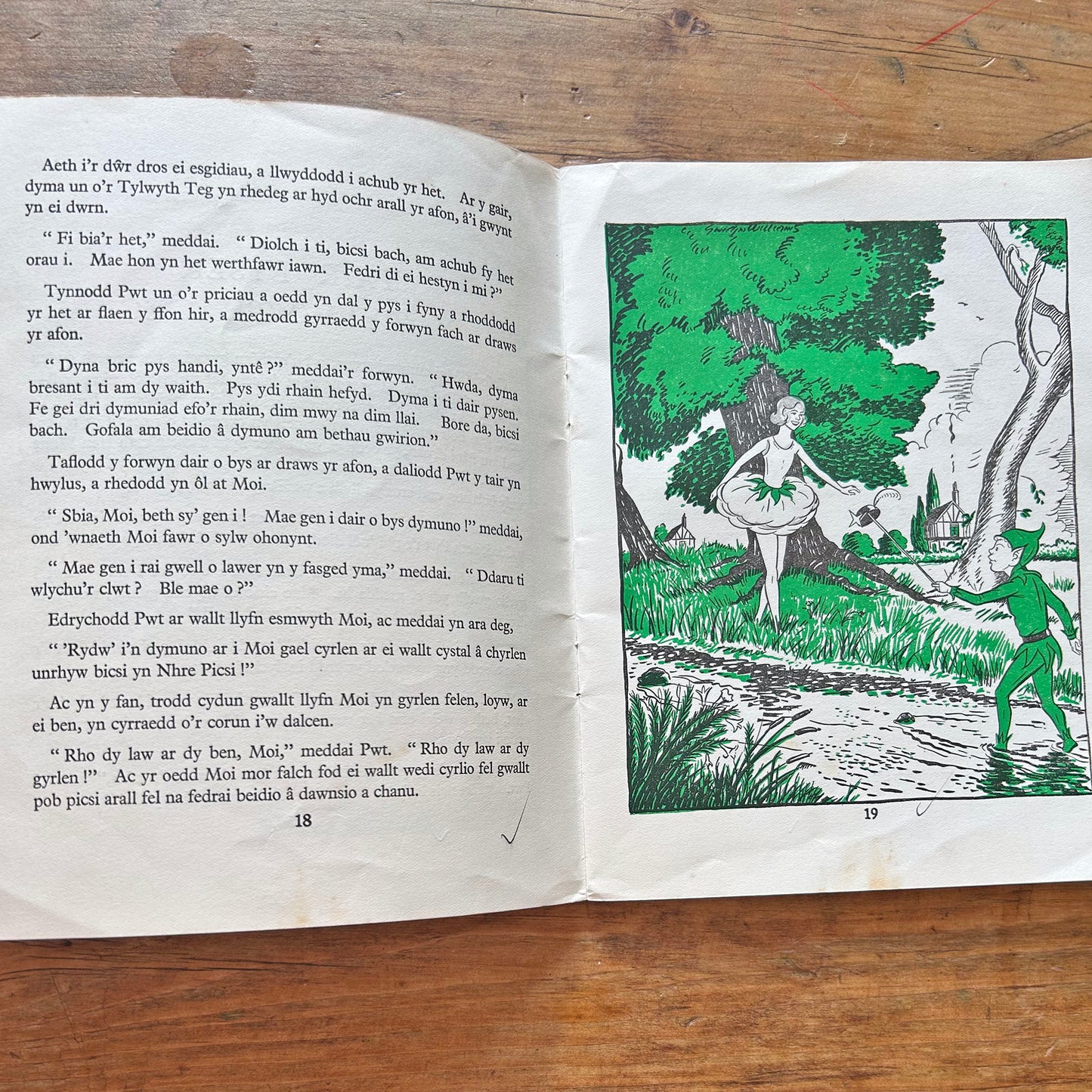 Pwt a Moi - Vintage Welsh Children's Book 1953 (Preloved)