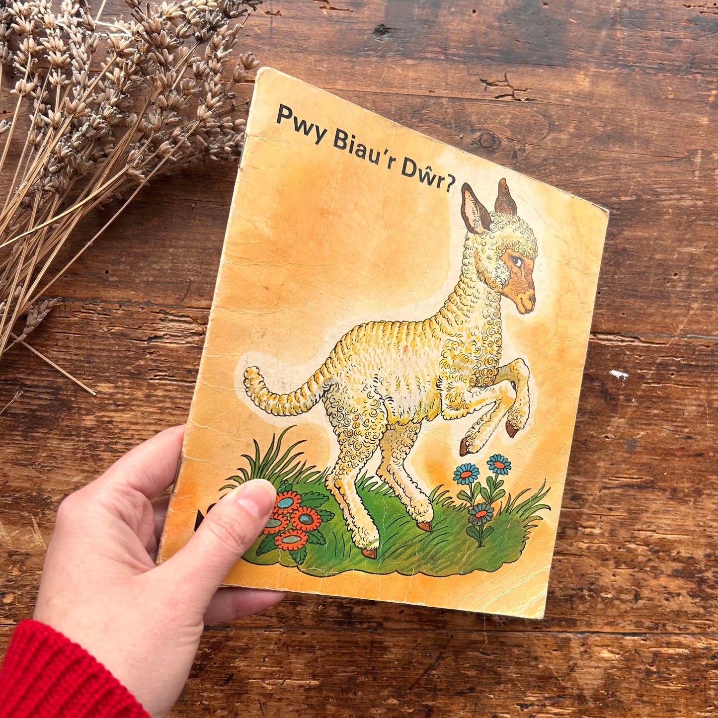 Sioe Gwn Trecwn - Llyfr Lluniau Plant Hen 1973 (Wedi'i Ail-law)