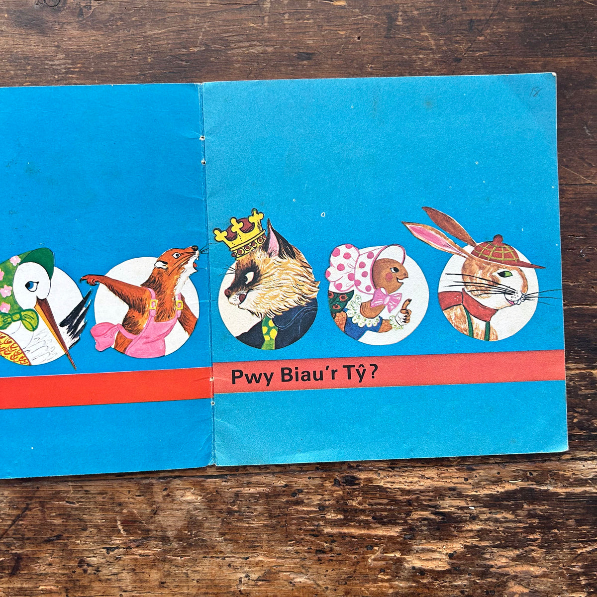 Pwy Biau'r Ty? Who Owns the House? 1960's (Preloved)