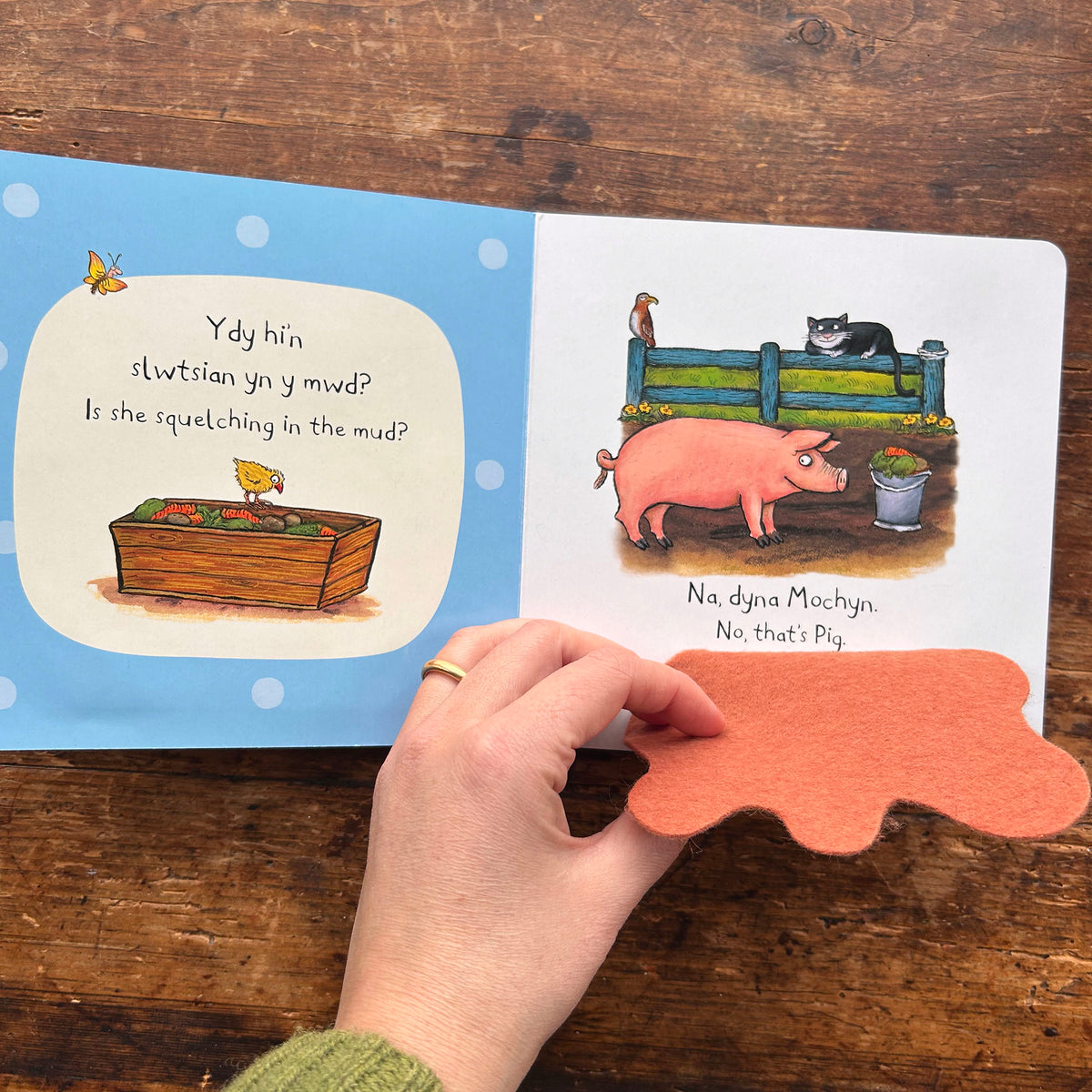Pwy Sy'n Cuddio ar y Fferm: Who's Hiding on the Farm (Preloved)