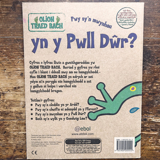 Pwy Sy'n Mwynhau yn y Pwll Dŵr? - Small Footprints (Preloved)