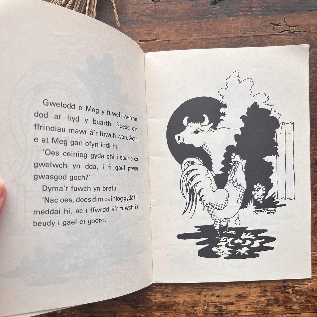 Ceiliog Bach y Dandi - Rhigwm a Stori - Edna Jenkins - 1975 (Preloved)