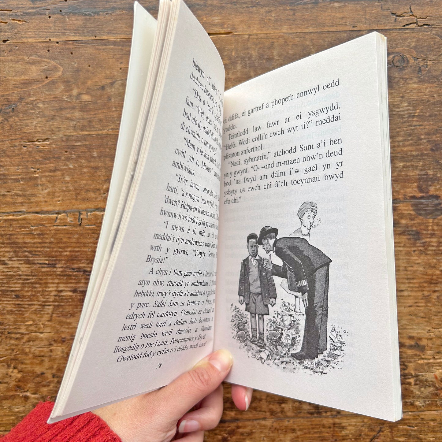 Rhyfel Sam - Glenys Lloyd (Preloved)