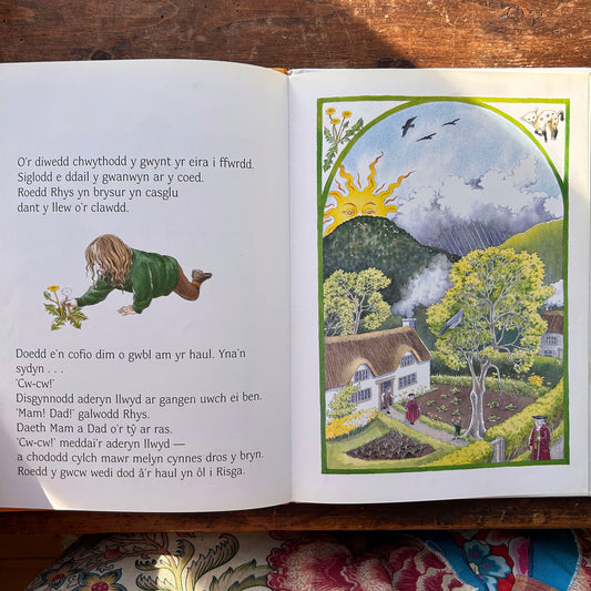 Rhys a Chwcw Rhisga - Sian Lewis & Gini Wade 1997 (Preloved)