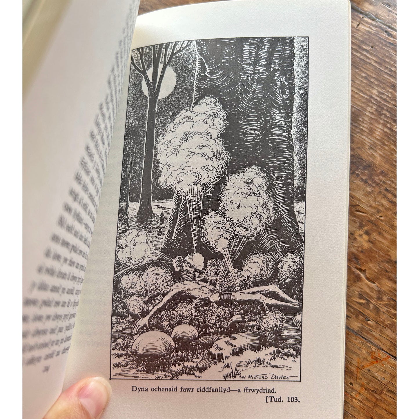 Rhys Llwyd y Lleuad - E. Tegla Davies - 1973 (Preloved)